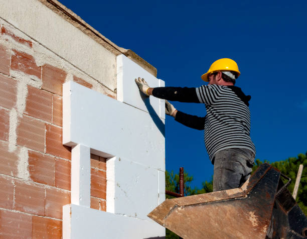 Best Home Insulation Services  in Valley Springs, CA