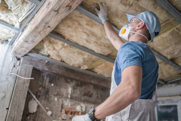 Best Residential Insulation Services  in Valley Springs, CA