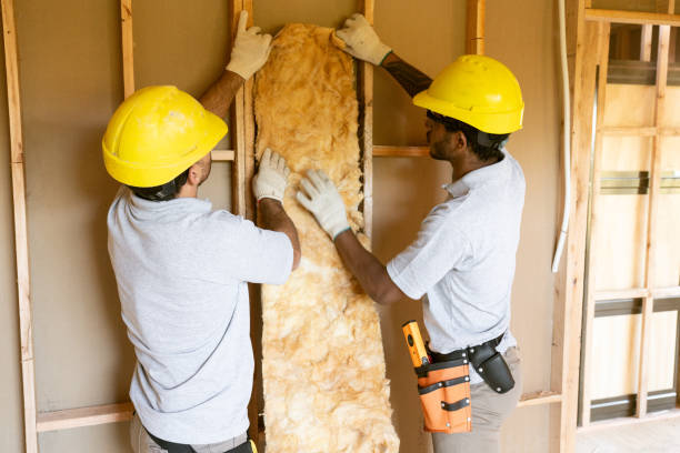 Best Commercial Insulation Contractor  in Valley Springs, CA