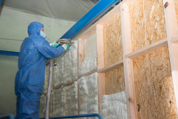 Best Local Insulation Services  in Valley Springs, CA