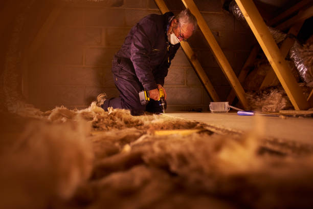 Best Insulation Installation Cost  in Valley Springs, CA